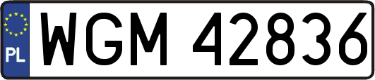 WGM42836