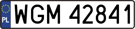 WGM42841