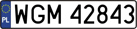 WGM42843