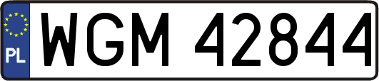 WGM42844