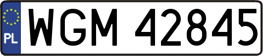 WGM42845