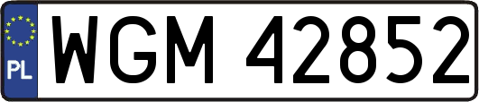 WGM42852
