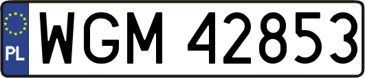 WGM42853