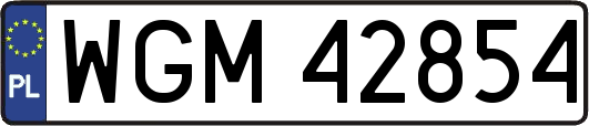 WGM42854