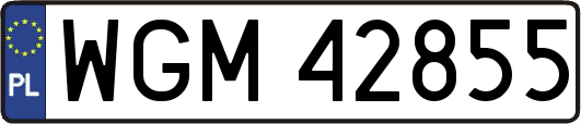 WGM42855