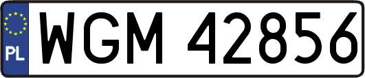 WGM42856