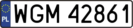 WGM42861