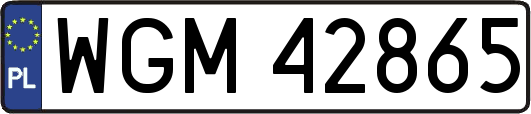 WGM42865