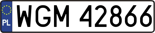 WGM42866