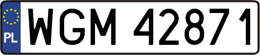 WGM42871