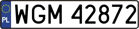 WGM42872