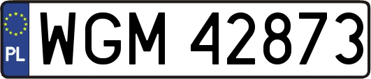 WGM42873
