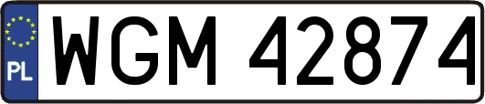 WGM42874