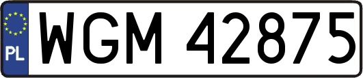 WGM42875
