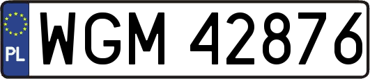 WGM42876
