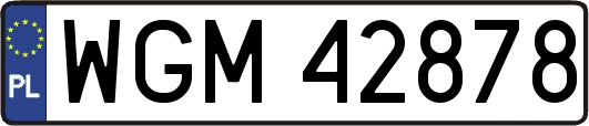 WGM42878