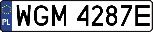 WGM4287E