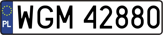 WGM42880