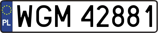 WGM42881