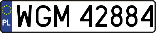 WGM42884