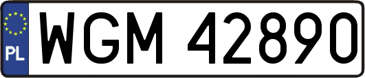 WGM42890