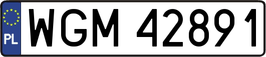 WGM42891