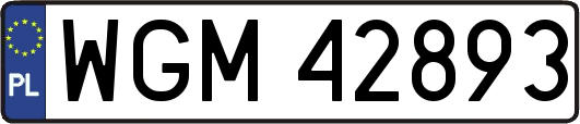 WGM42893