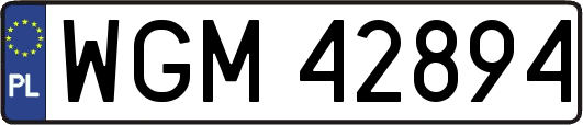 WGM42894