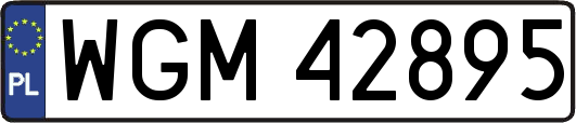 WGM42895