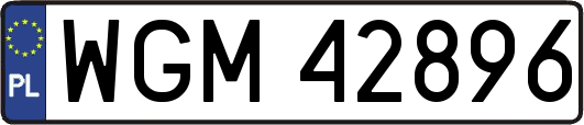 WGM42896