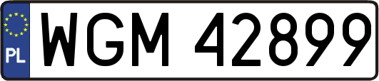 WGM42899