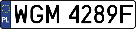 WGM4289F