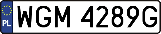 WGM4289G