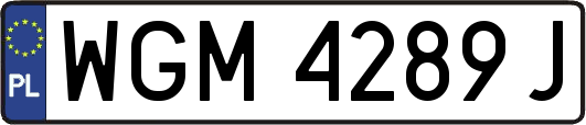 WGM4289J