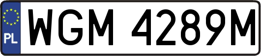 WGM4289M