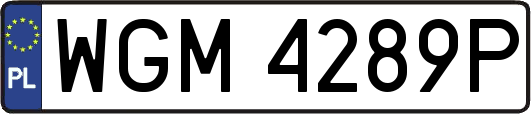 WGM4289P
