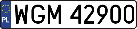WGM42900