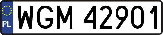 WGM42901