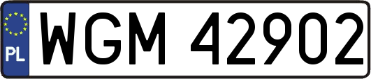 WGM42902