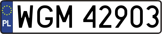 WGM42903