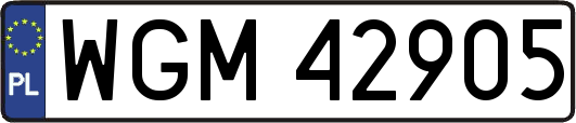 WGM42905