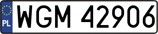 WGM42906