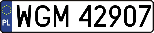 WGM42907