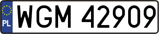 WGM42909