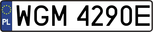 WGM4290E
