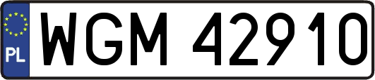 WGM42910