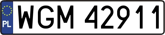 WGM42911