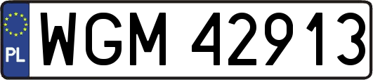 WGM42913