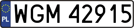 WGM42915