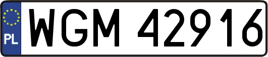 WGM42916